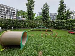 Sengkang Grand Residences (D19), Apartment #481100621